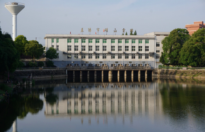 香港马料